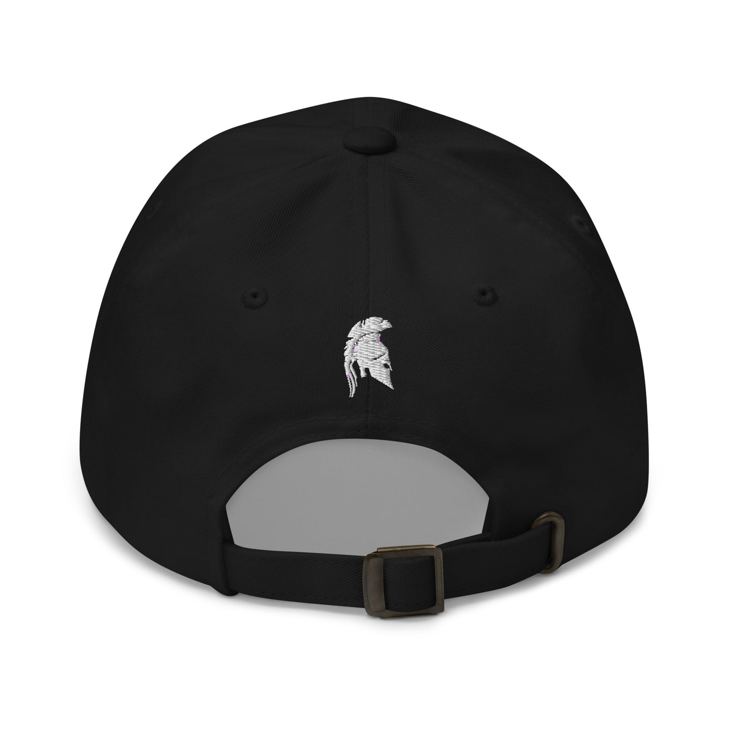 Classic TFS hat (Front and Back)