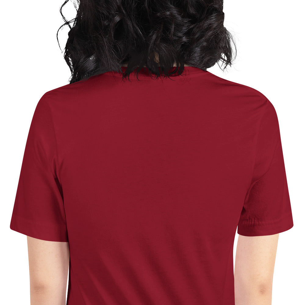 Classic TFS T-shirts (Dark Colors)